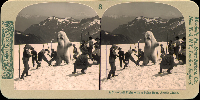 8-snowball fight-turpin-black.jpg