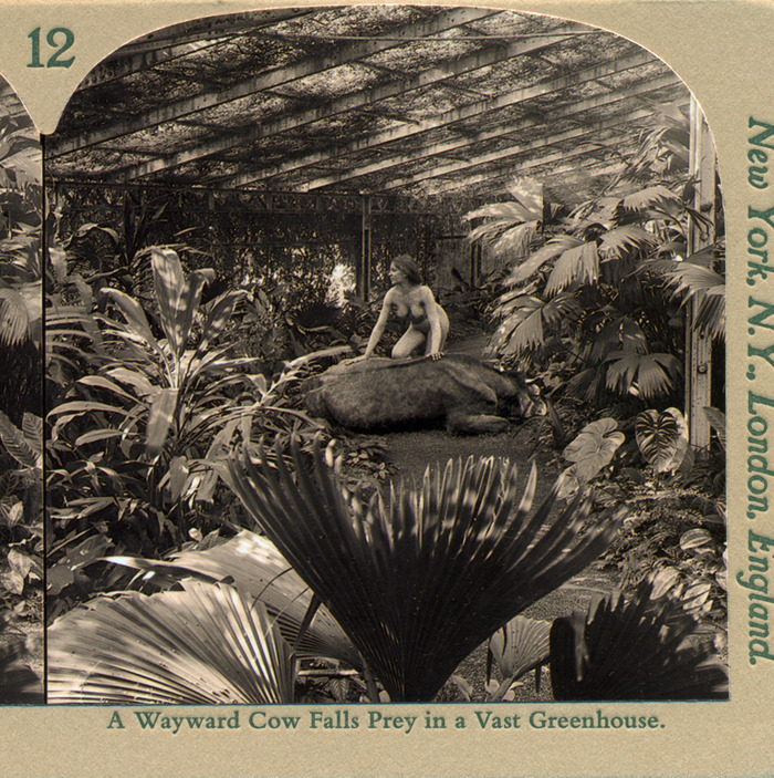greenhouse-crop-700.jpg